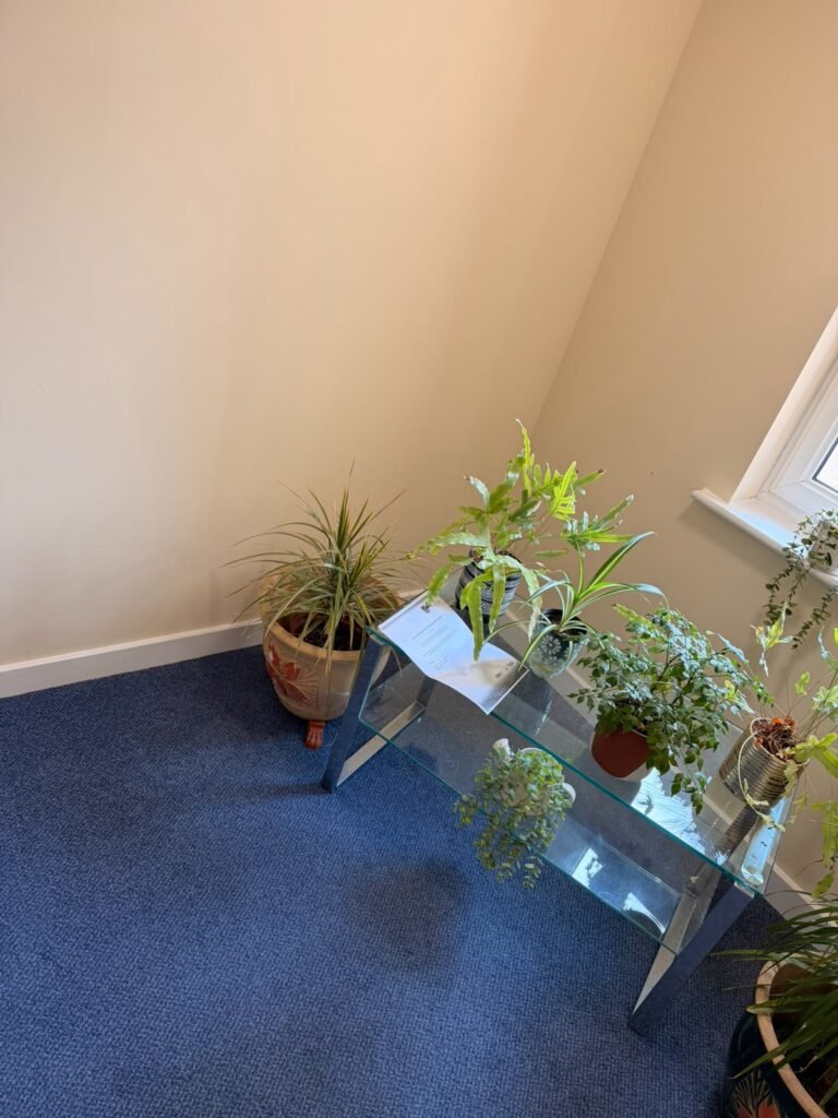 Redecorated room with new flooring