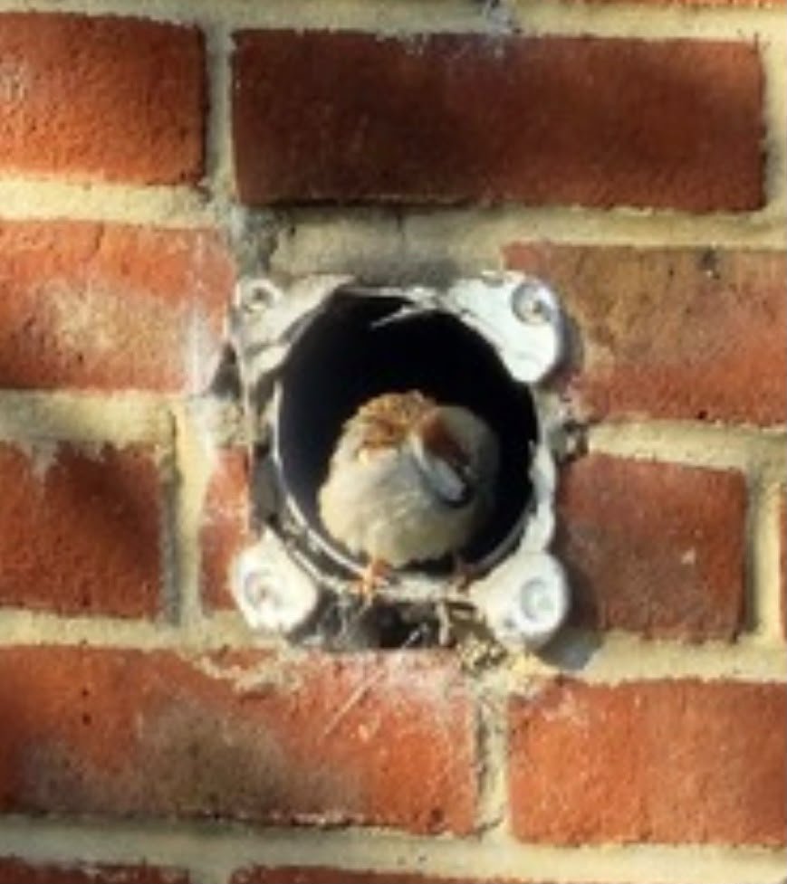 Open wall vent hole before repair