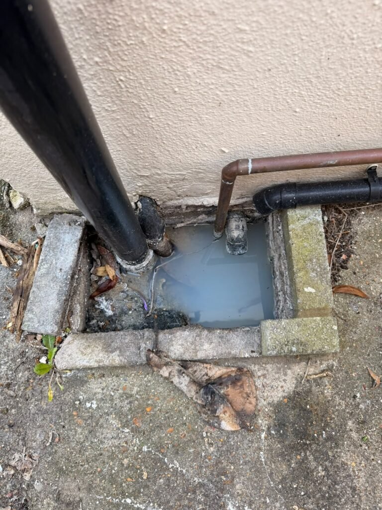 Blocked gully under a downpipe before clearance