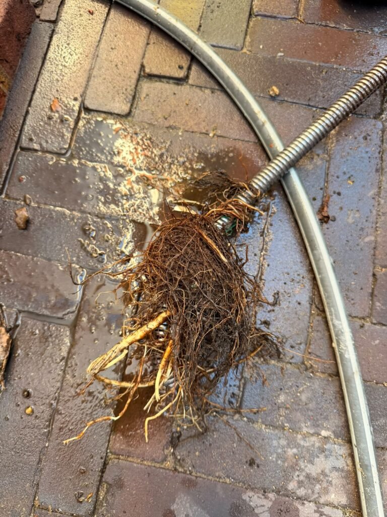 Roots and debris removed from a blocked gully