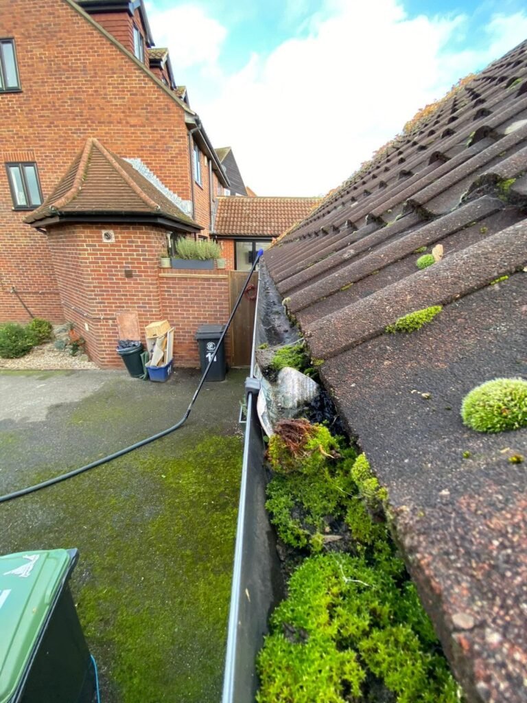 Gutter blocked with moss and debris before clearance